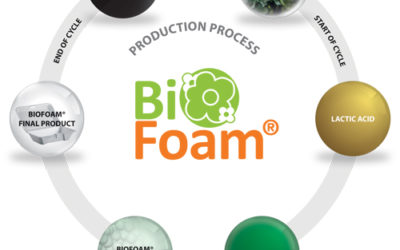 Advantages of Biofoam Over Polystyrene: A Sustainable Choice for a Greener Future