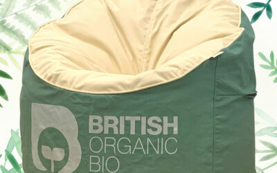 Eco-Friendly Custom Bean Bags for Businesses, Schools, Events, and Groups