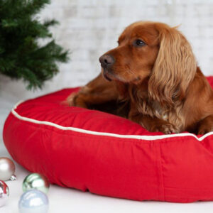 eco-friendly-dog-bed-red-and-cream-piping-1
