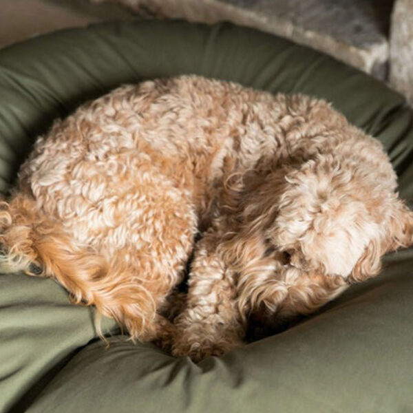 eco-friendly-dog-bed-sage-and-olive-2