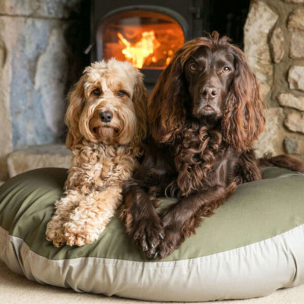 eco-friendly-dog-bed-sage-and-olive-3