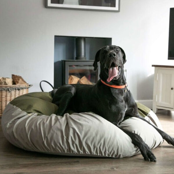 eco-friendly-dog-bed-sage-and-olive-4