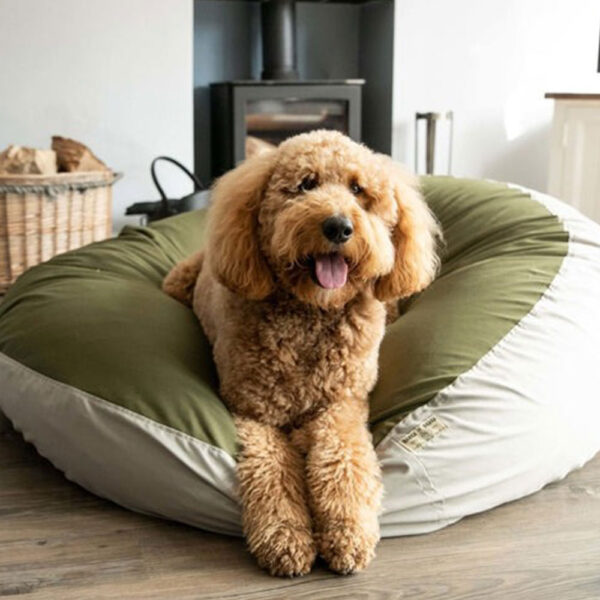 eco-friendly-dog-bed-sage-and-olive-8