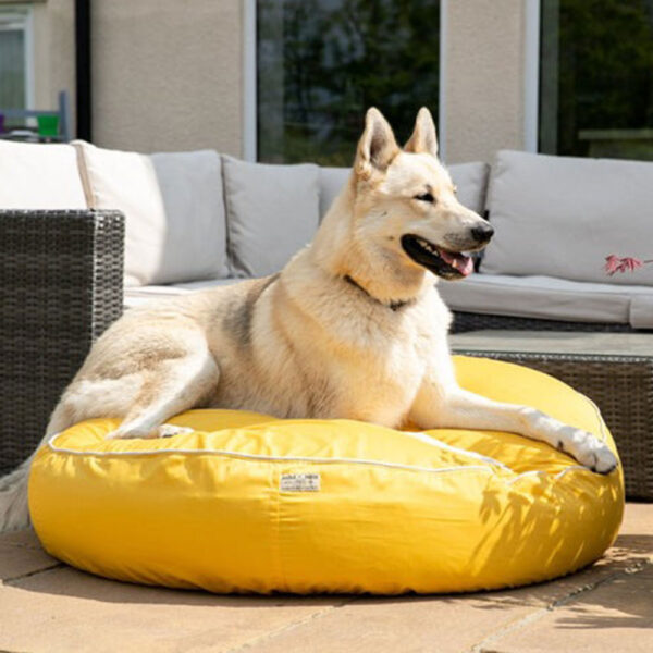 eco-friendly-dog-bed-yellow-and-cream-piping-2
