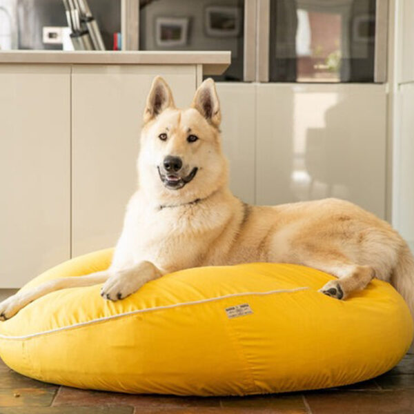eco-friendly-dog-bed-yellow-and-cream-piping-4